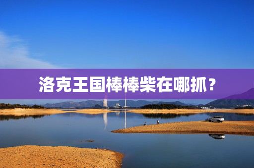 洛克王国棒棒柴在哪抓？