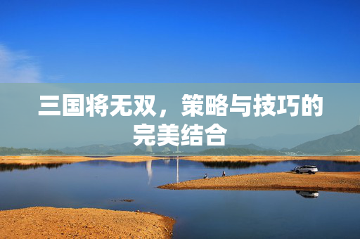 三国将无双，策略与技巧的完美结合