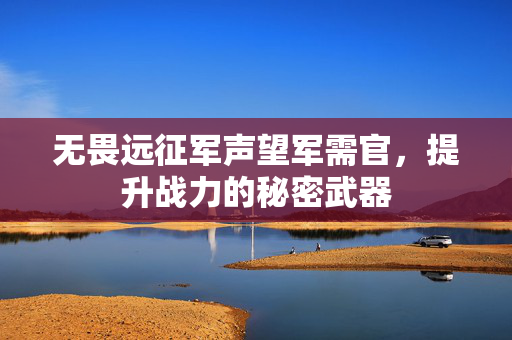 无畏远征军声望军需官，提升战力的秘密武器