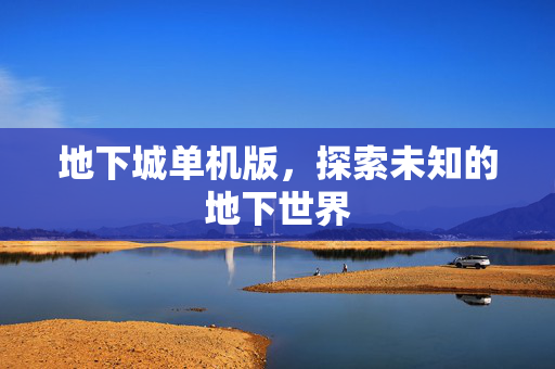 地下城单机版，探索未知的地下世界