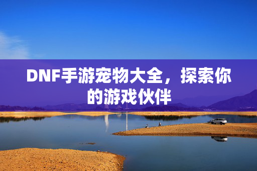 DNF手游宠物大全，探索你的游戏伙伴