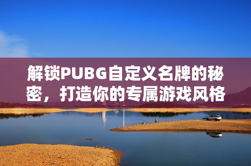 解锁PUBG自定义名牌的秘密，打造你的专属游戏风格
