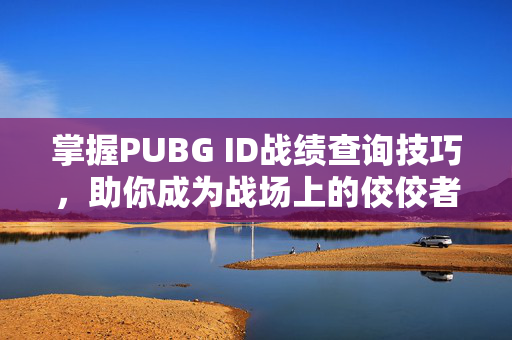掌握PUBG ID战绩查询技巧，助你成为战场上的佼佼者