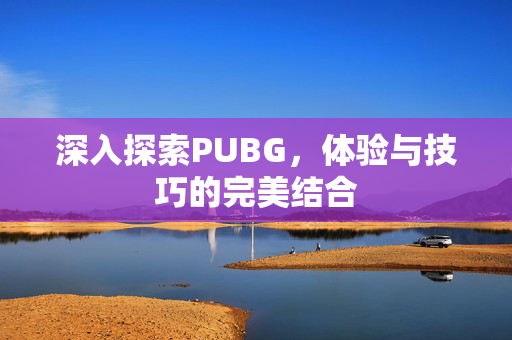 深入探索PUBG，体验与技巧的完美结合