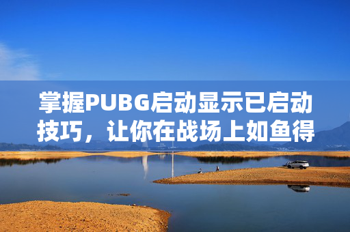 掌握PUBG启动显示已启动技巧，让你在战场上如鱼得水