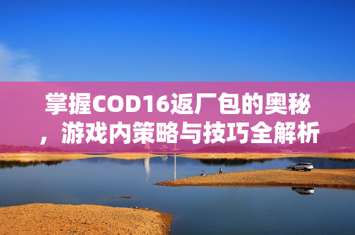掌握COD16返厂包的奥秘，游戏内策略与技巧全解析