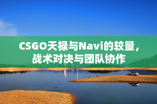 CSGO天禄与Navi的较量，战术对决与团队协作