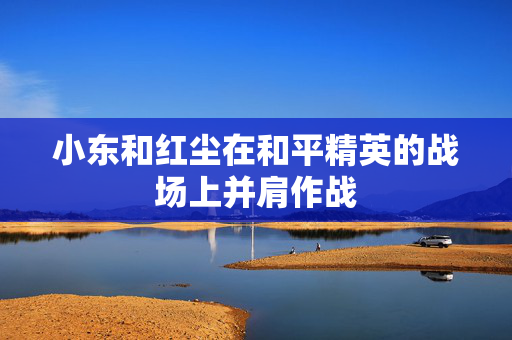 小东和红尘在和平精英的战场上并肩作战