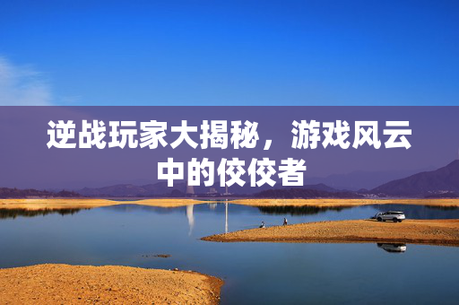 逆战玩家大揭秘，游戏风云中的佼佼者