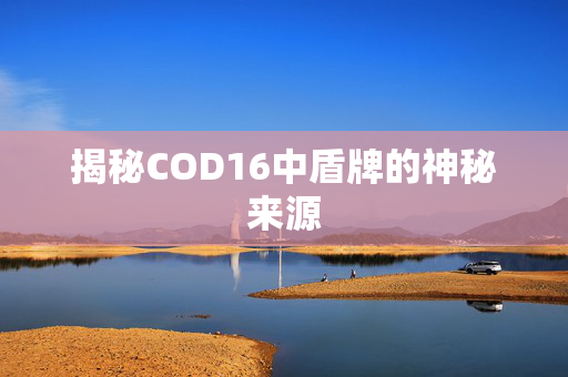 揭秘COD16中盾牌的神秘来源