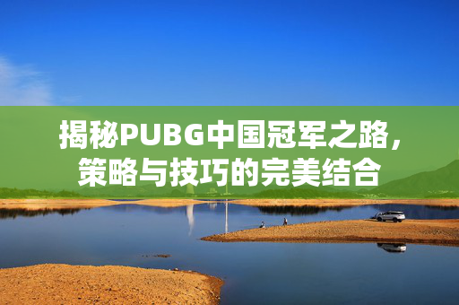 揭秘PUBG中国冠军之路，策略与技巧的完美结合
