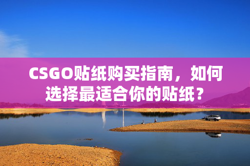 CSGO贴纸购买指南，如何选择最适合你的贴纸？