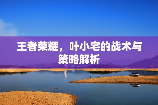 王者荣耀，叶小宅的战术与策略解析