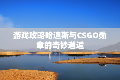 游戏攻略哈迪斯与CSGO勋章的奇妙邂逅