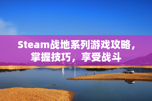 Steam战地系列游戏攻略，掌握技巧，享受战斗