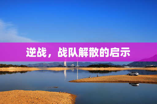 逆战，战队解散的启示