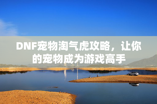 DNF宠物淘气虎攻略，让你的宠物成为游戏高手