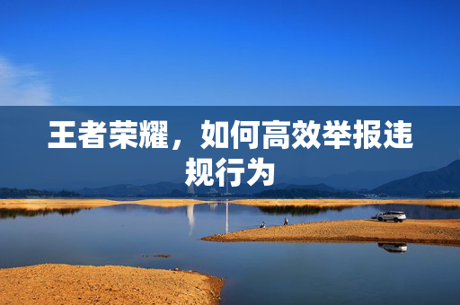 王者荣耀，如何高效举报违规行为