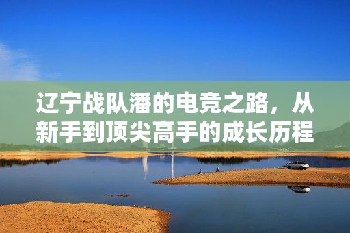 辽宁战队潘的电竞之路，从新手到顶尖高手的成长历程