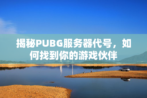 揭秘PUBG服务器代号，如何找到你的游戏伙伴