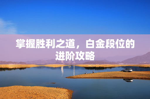 掌握胜利之道，白金段位的进阶攻略