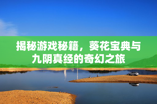 揭秘游戏秘籍，葵花宝典与九阴真经的奇幻之旅