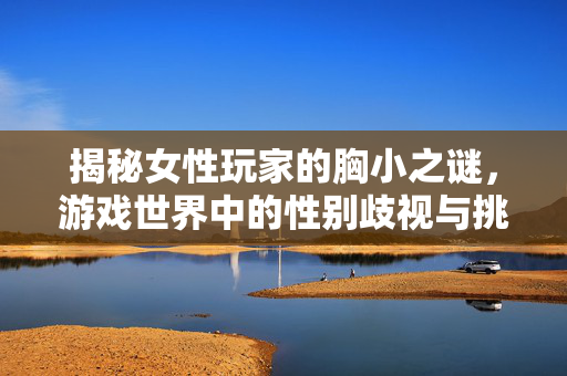 揭秘女性玩家的胸小之谜，游戏世界中的性别歧视与挑战