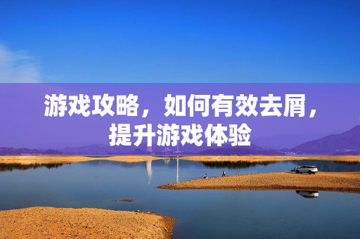游戏攻略，如何有效去屑，提升游戏体验