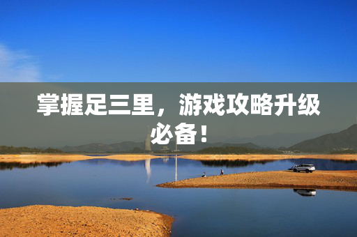 掌握足三里，游戏攻略升级必备！