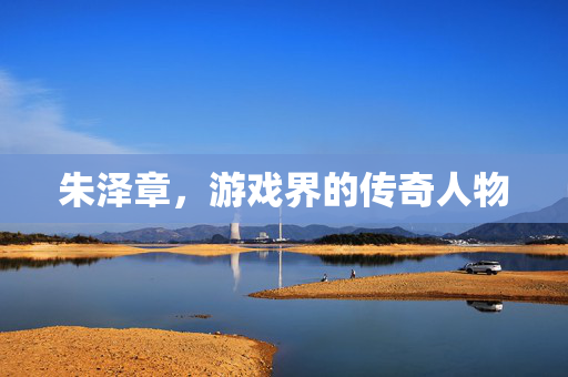 朱泽章，游戏界的传奇人物