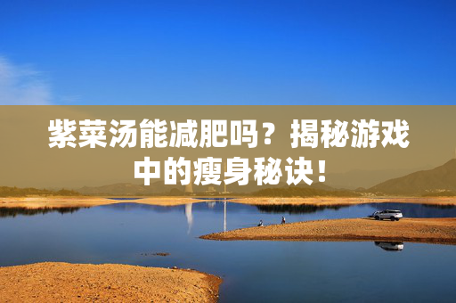 紫菜汤能减肥吗？揭秘游戏中的瘦身秘诀！