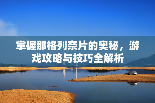 掌握那格列奈片的奥秘，游戏攻略与技巧全解析