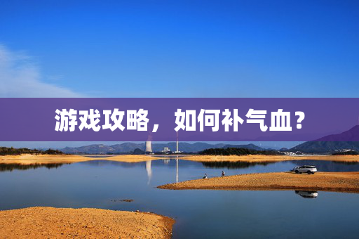 游戏攻略，如何补气血？