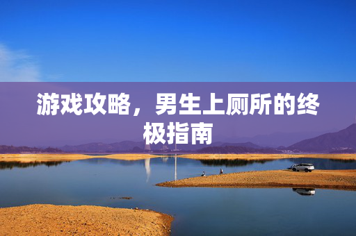 游戏攻略，男生上厕所的终极指南