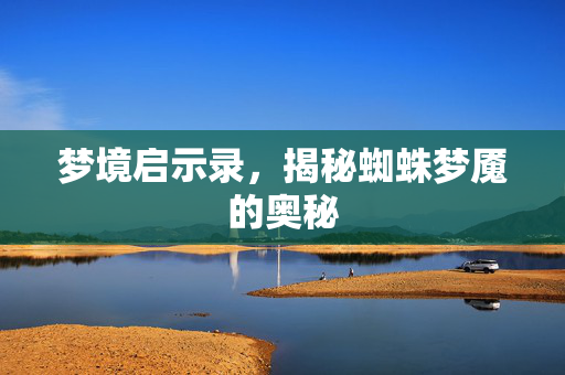 梦境启示录，揭秘蜘蛛梦魇的奥秘