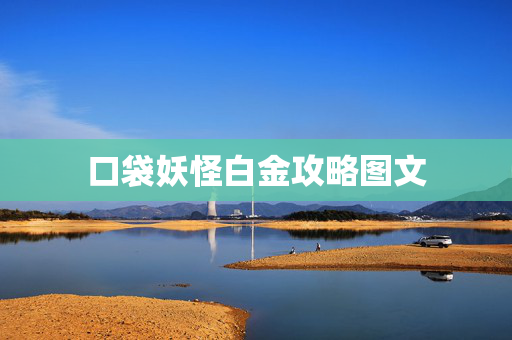 口袋妖怪白金攻略图文