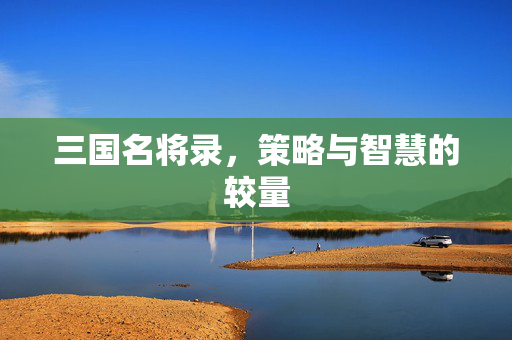 三国名将录，策略与智慧的较量
