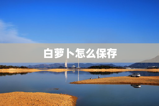 白萝卜怎么保存