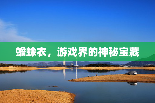 蟾蜍衣，游戏界的神秘宝藏