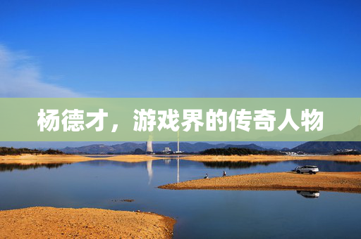 杨德才，游戏界的传奇人物