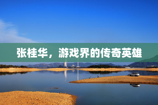 张桂华,游戏界的传奇英雄 张桂华,游戏界的传奇英雄