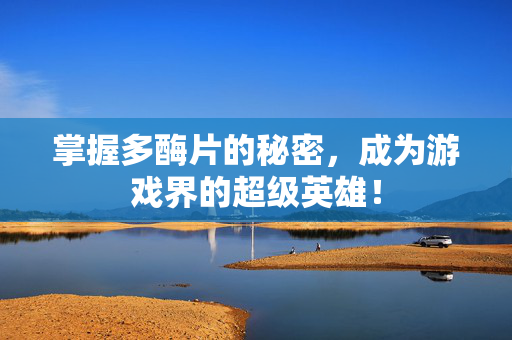 掌握多酶片的秘密，成为游戏界的超级英雄！