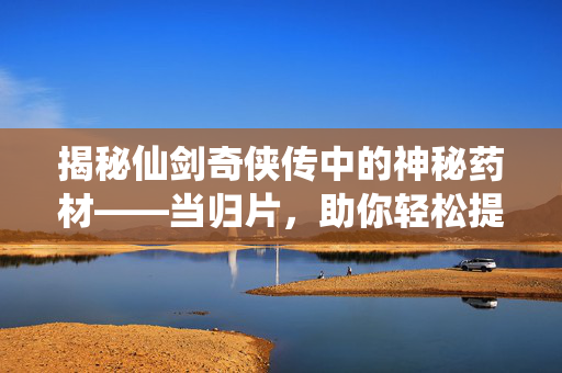 揭秘仙剑奇侠传中的神秘药材——当归片，助你轻松提升战斗力！