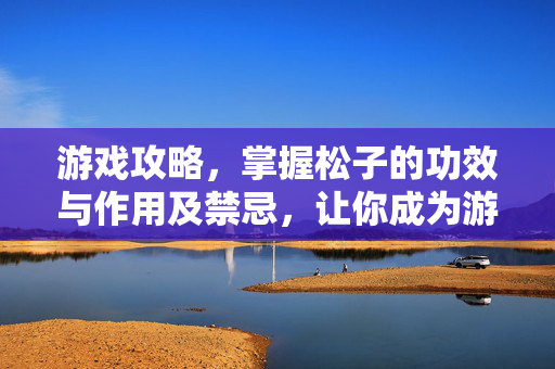 游戏攻略，掌握松子的功效与作用及禁忌，让你成为游戏中的高手！