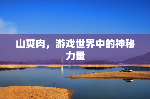 山萸肉，游戏世界中的神秘力量