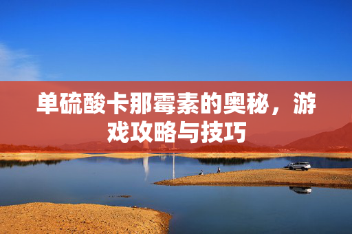 单硫酸卡那霉素的奥秘，游戏攻略与技巧