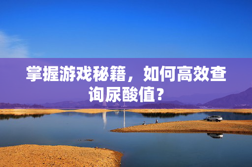 掌握游戏秘籍，如何高效查询尿酸值？