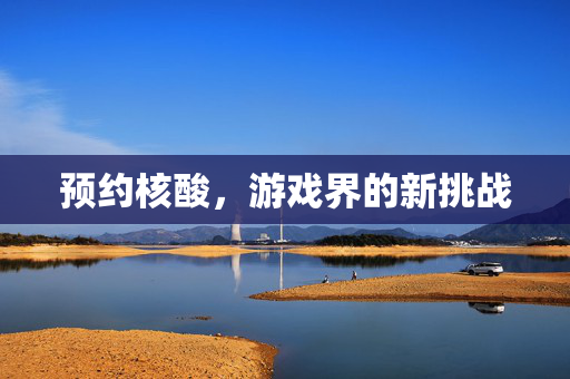 预约核酸，游戏界的新挑战