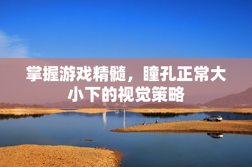 掌握游戏精髓，瞳孔正常大小下的视觉策略