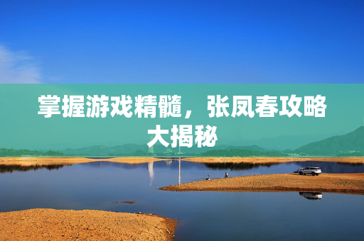 掌握游戏精髓，张凤春攻略大揭秘